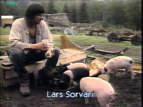 Grismassakern Lesjöfors