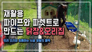 재활용 파이프와 파렛트로 만드는 닭장&오리집 반려 오리와 함께하는 시골 생활의 매력
