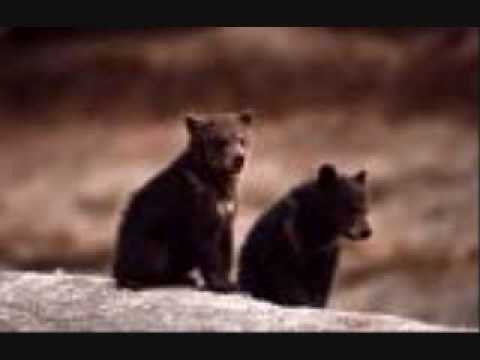 Yeha Noha - Deep Forest (Native)