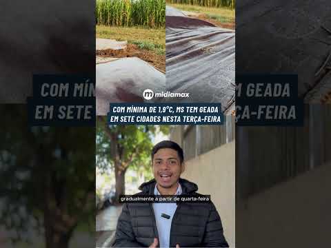 Com mínima de 1,9°C, Mato Grosso do Sul tem geada em sete cidades nesta terça-feira