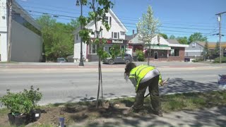 Nonprofits work to give Bangor a 'glow up'