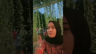 Download lagu Video Halu Cowok Rebahan Untuk Manasin Cewek || Mentahan #107 mp3