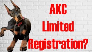 AKC Limited Registration of puppies. What is Limited Registration?