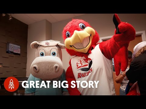 A Day in the life at Mascot School