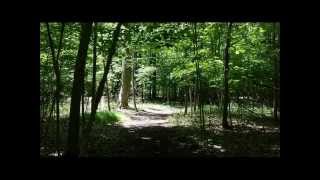 preview picture of video 'Woodland Hills Nature Park, Farmington Hills, MI'