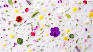 Henry by Soccer Mommy - Acid Ghost Cover