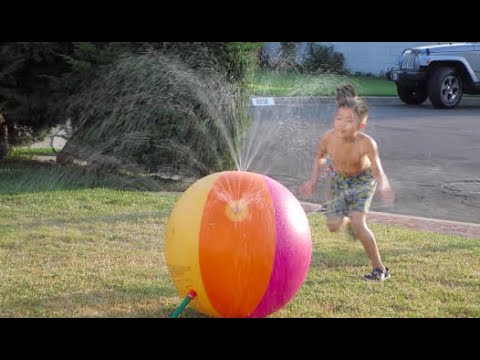 We're In A Heatwave! - Daily Vlog 1787 - August 17th, 2020