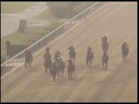 2019-03-03 Race 6(0174) - 【STAR RIVER ．WINDSOR ARCH】SAND CLASSIC CUP (Group 3 Open) (GROUP 3)