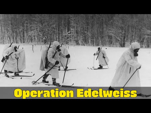 Operation Edelweiss | The German Race for the Caucasus Oil | WW2