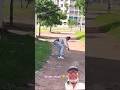 Water Attack Comedy Funny Prank Shortfeed Losbuhosdelhumor