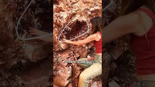 Discovering a Quartz Pocket on a Mountain 💎⛰️