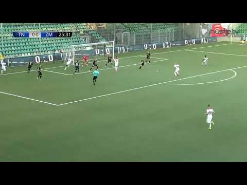 peter cogley  vion zlate