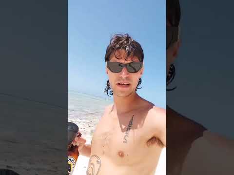 KETAMA SVARIONATO DALLE SPIAGGE DELLE MALDIVE ATTACCA I POLITICI ITALIANI: "SIETE TUTTI DELLE M..!“