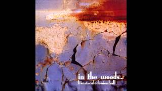 In The Woods - Live at Caledonien Hall CD 1