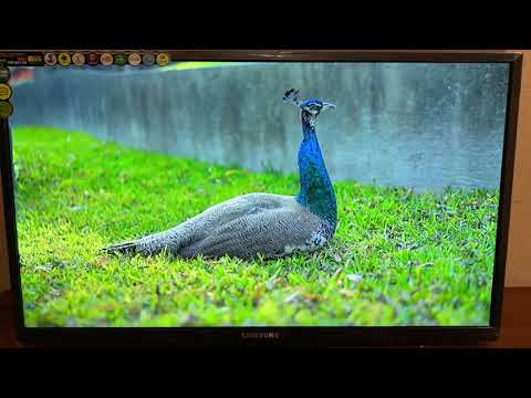 Samsung Smart TV 43* Android 13.0 ULTRA HD, 4K, WIFI, T2 Телевизор Самсунг Смарт тв - фото 1 - id-p2023683527