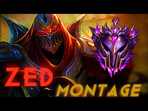 ZED MONTAGE S11(2) - KS