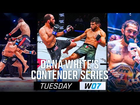 WEEK 7 Dana White's Contender Series | Season 9 | MMA Fighter Highlights | UFC DWCS 2025