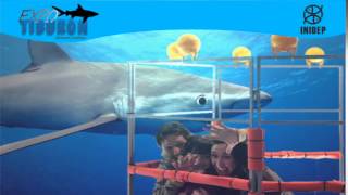 DIA 2 Expo Tiburon143