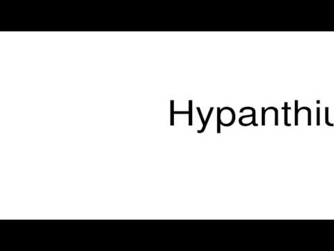How to pronounce Hypanthium