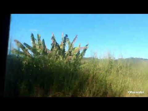 FUI EM CANA VERDE MG PASSEAR E CONHECER A BELEZA DE MINAS