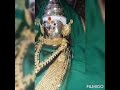 देवी माझी बसलीया मोरावर जय दक्षिणेश्�