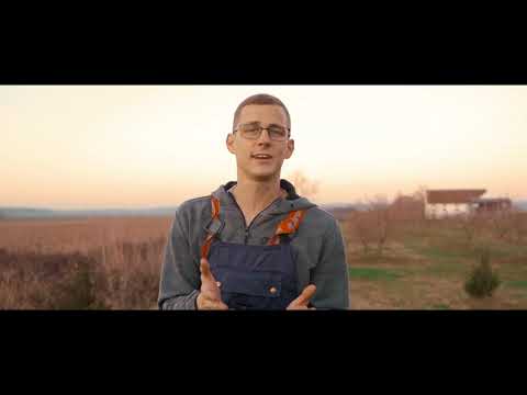 Josip Darapi - LUDILO JE POČELO (Official video) 2022