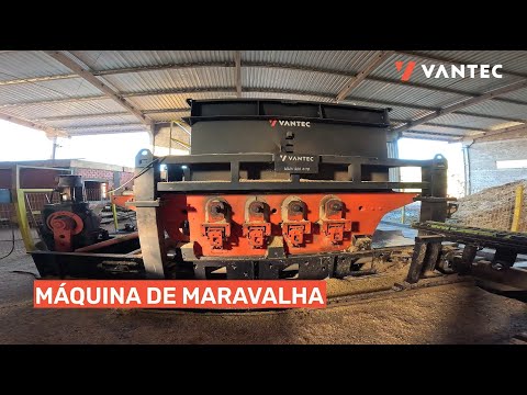 Machine for Wood Shavings Processing