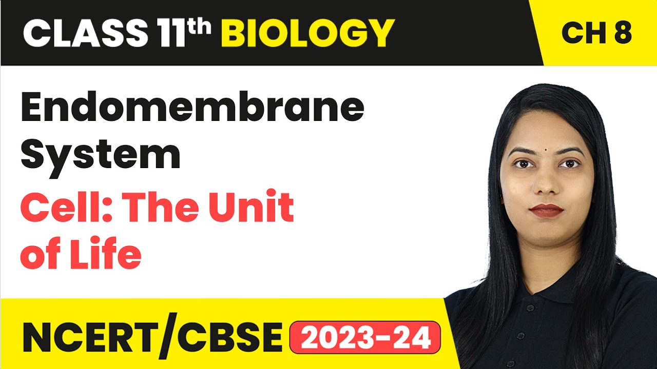 Endomembrane System - Cell: The Unit of Life | Class 11th Biology Chapter 8 | CBSE 2024-25