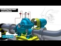 Multistage Pump Animatics