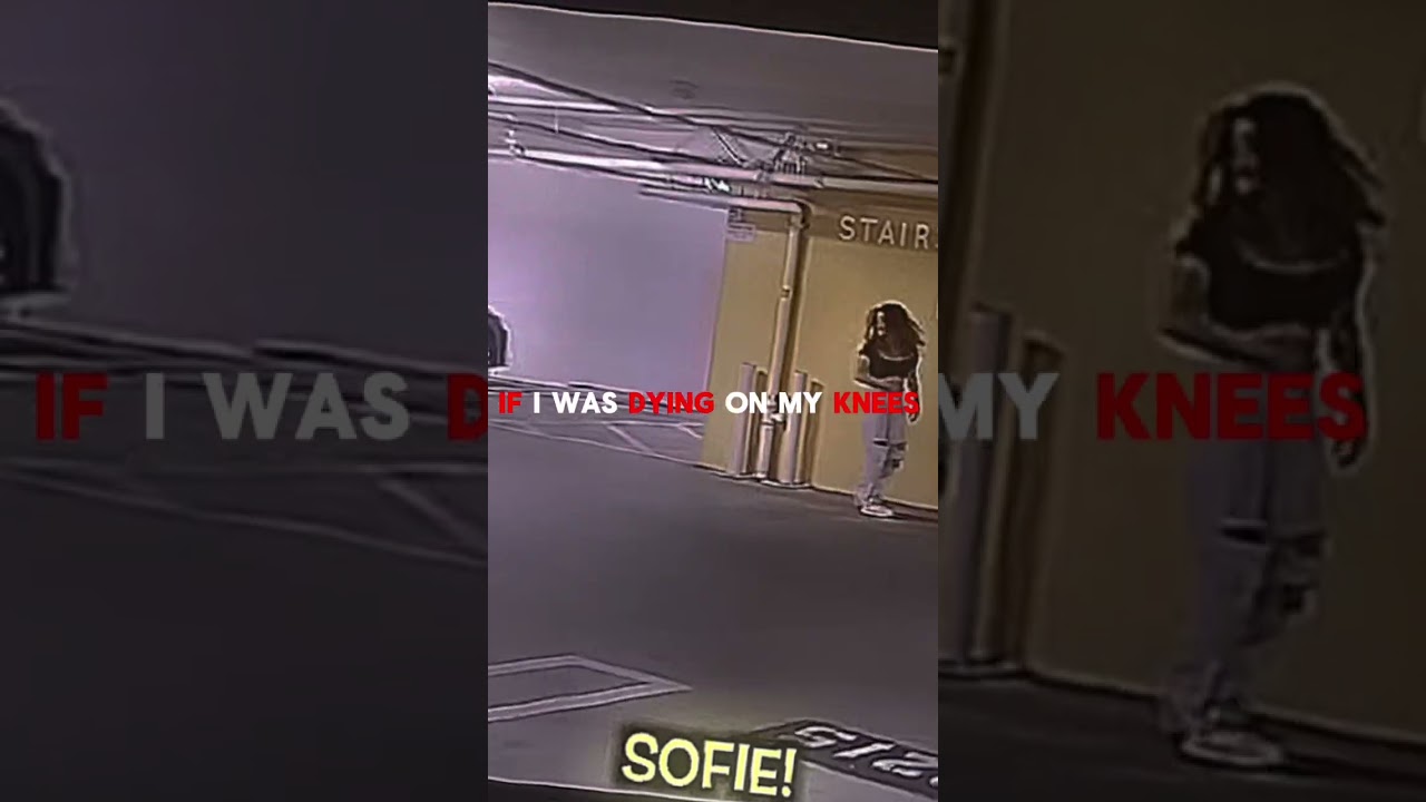 Why did they break up! 💔 By Remy (video credited to @BenAzelart) #shorts #dofie