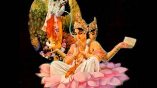 High Wolf ~ Haiti (2010)