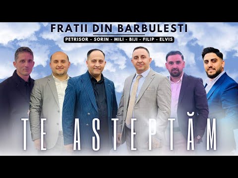 Frați din Barbulesti - TE AȘTEPTĂM - Petrișor ❌ Sorin ❌ Biji ❌ Mili ❌ Filip ❌ Elvis Moise