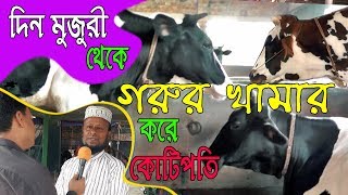 গাভীর খামার