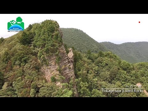 Tokage-iwa (Lizard Rock) トカゲ岩