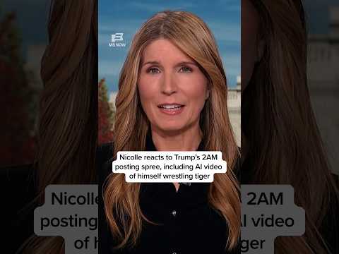 Nicolle reacts to Trump's 2AM posting spree, including AI video of himself wrestling tiger