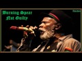 MP4 720p Burning Spear   Not Guilty