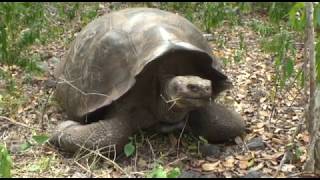 HÍREK A TERMÉSZETBŐL