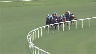 R4 Colonial Downs 15 Aug 2026