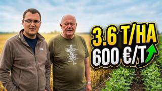 AR VERTA AUGINTI SOJĄ LIETUVOJE? 🌿Kaip uždirbti iš sojų ir kur jas realizuoti?