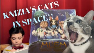 Board Game Animal - Reiner Knizia's Decathlon video thumbnail
