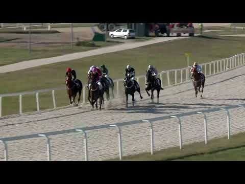 2018.11.04. 02. futam - BÁRÓ ORCZY LŐRINCZ EMLÉKVERSENY HENDIKEP (IV.o.) (szintetikus pálya)