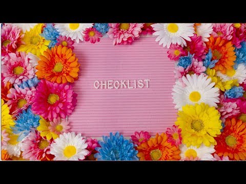 CHECKLIST (Lyric Video) Megan Nicole