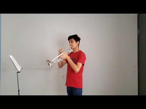 Sonata No. 11 (St.marc) Albinoni