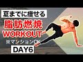 【夏までに痩せる】脂肪燃焼WORKOUT DAY6(マンションOK)/HIIT1週間ルーティン【40代〜50代専門】