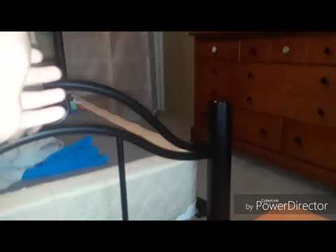 monster and dinosaurs island buddies ep 71 season 5 finale