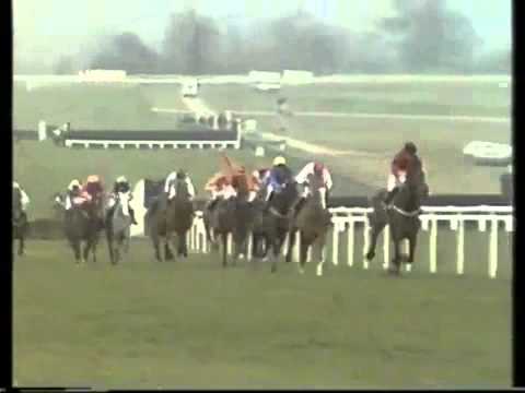 Dawn Run- The 1984 Champion Hurdle (Cheltenham)