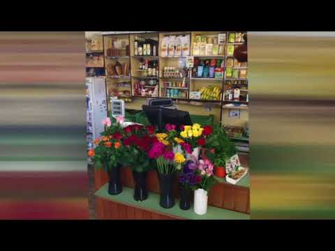 Blumen & BIO Lädle Gläßle Innenansicht