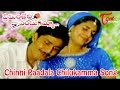 Chinni Paadala Chilukamma Song From Preminchedi Endukamma Movie Anil Maheswari