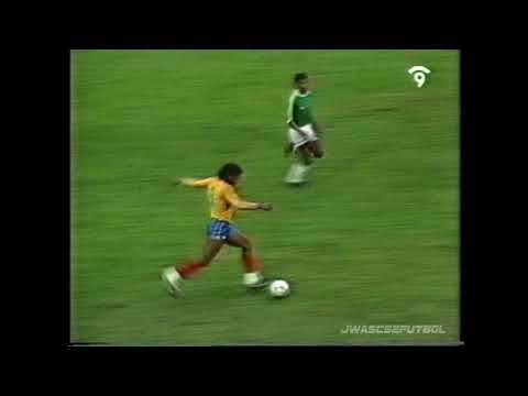 1991.07.13 Ecuador 4 - Bolivia 0 (Partido Completo 60fps - Copa América Chile 1991)