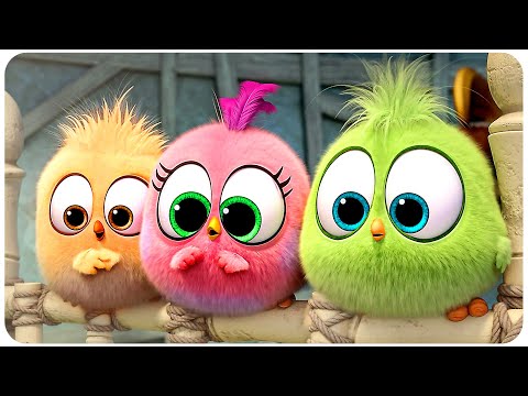 Baby Birds Best Scenes 4K - ANGRY BIRDS 2 ᴴᴰ